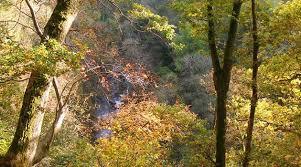 Nethan Gorge