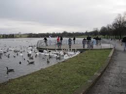 Hogganfield Park