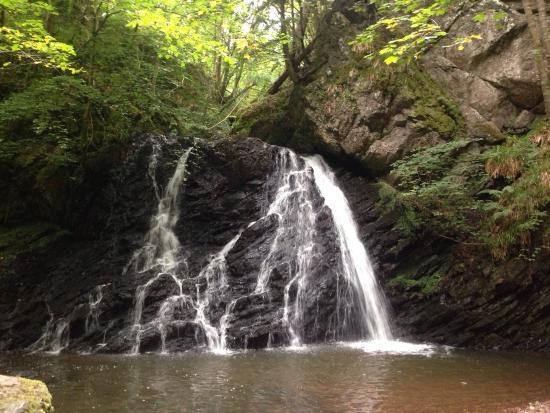 Fairy Glen