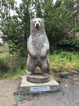 Hercules The Bear